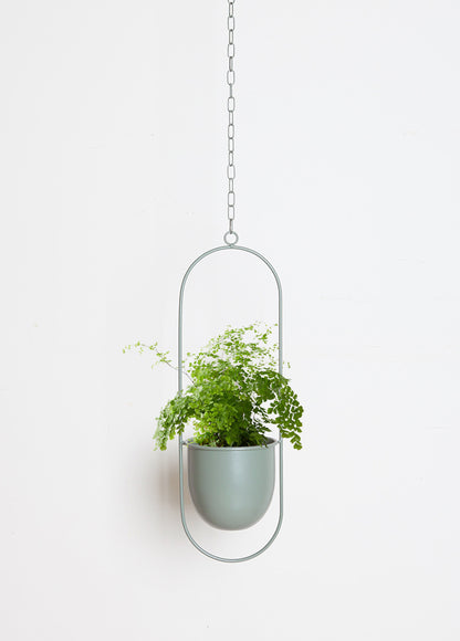 Tubang Nordic creative hanging wrought iron flower pot hanging wall hanging green radish succulent decorative hanging basket basin